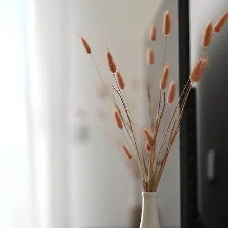 Lovre Apartment Zadar