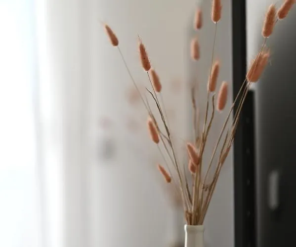 Lovre Lägenhet Zadar